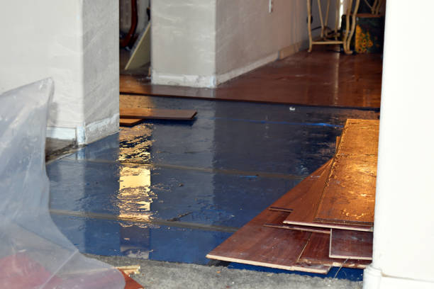 Professional Sewage Cleanup technician working in Rodney, MI