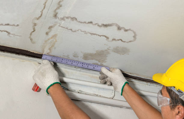 Reliable Sewage Cleanup contractor in Rodney, MI by Water Damage Irwin